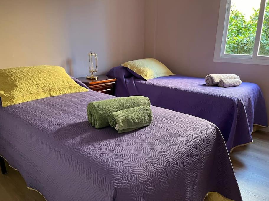 Triana Family Suites 塞维利亚 外观 照片